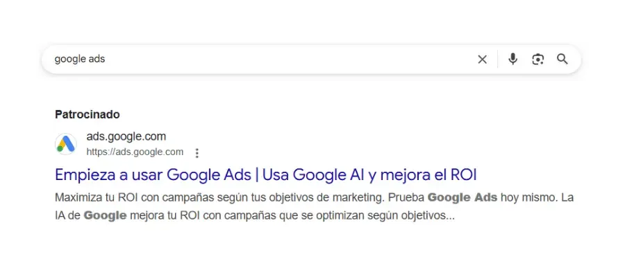 Ejemplo de Google